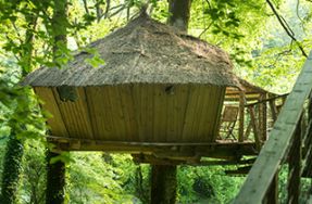 Cabane dans les arbres