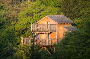 Cabane Lodge