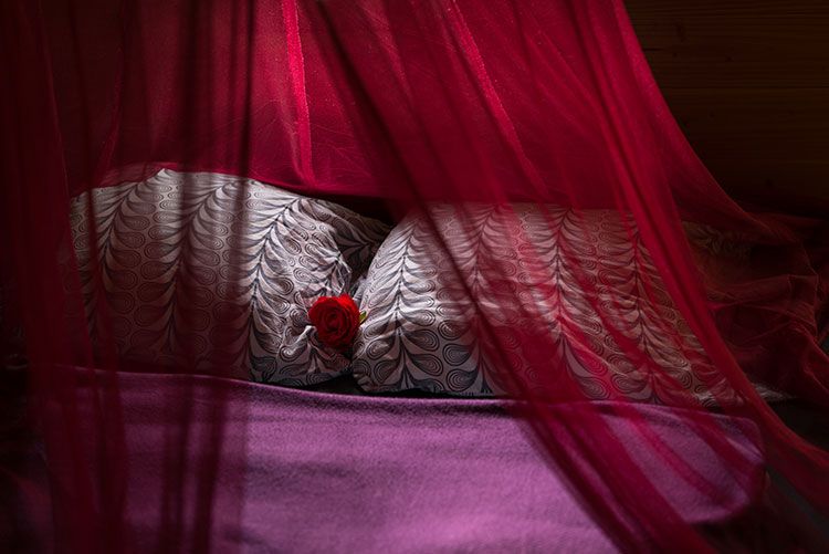 Cabane dans les arbres en amoureux