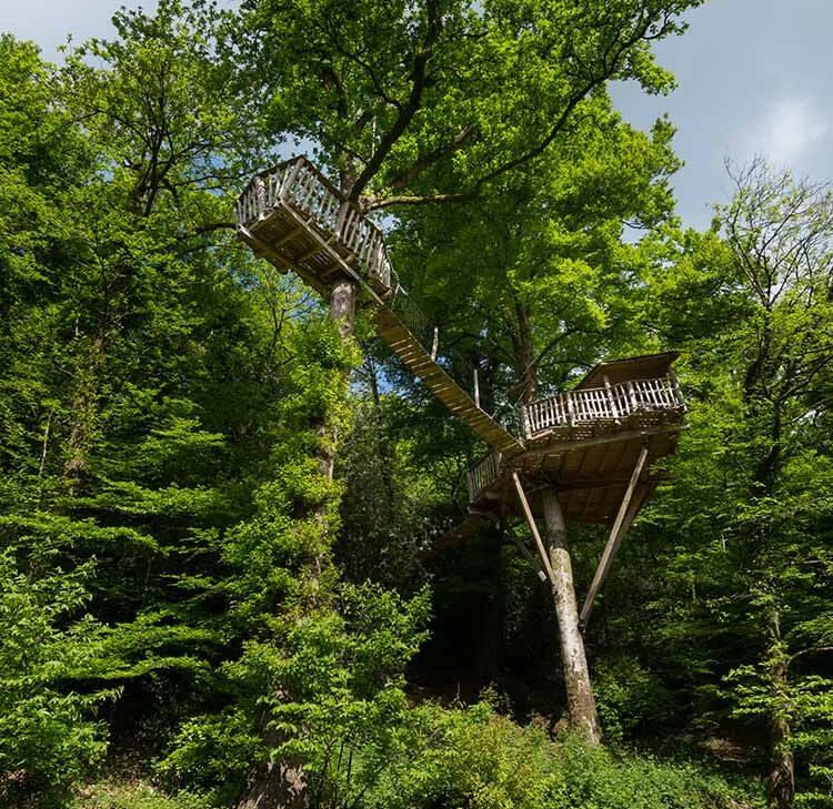 Cabane dans les arbres en Bretagne